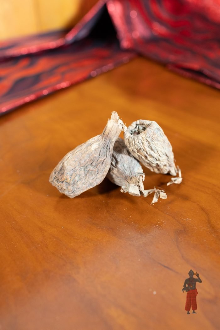 Fava de Ataré - Image 1