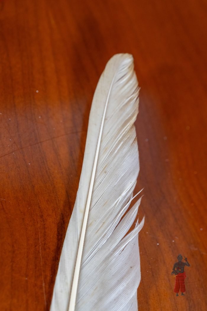 Pena Lekeleke - Image 4
