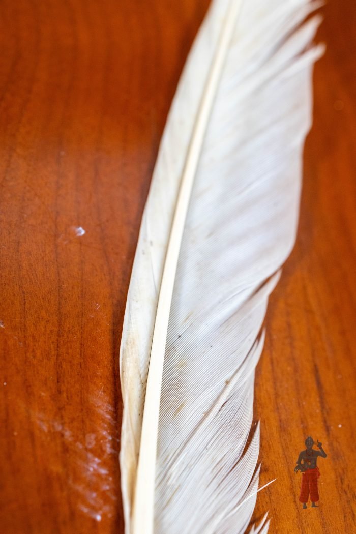 Pena Lekeleke - Image 3