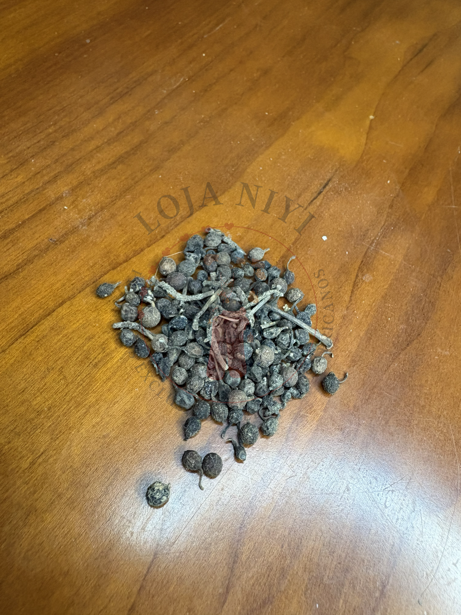 IMG_3709 Lelekun ( 8g ) - Image 1