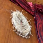 Bucha Africana - Image 2